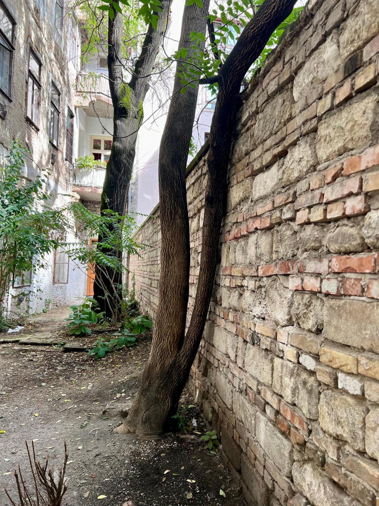 Gozsdu Court Bismarck Apartamento Budapeste Exterior foto